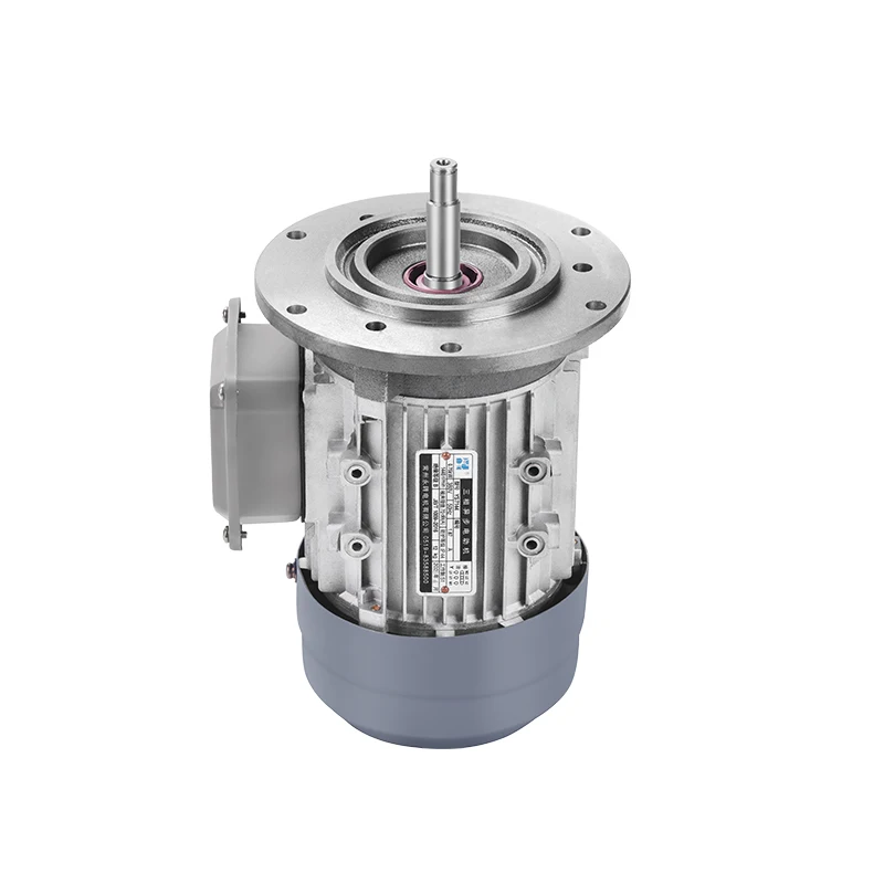 MS/YS Series 1hp 2hp 3hp 5hp 10hp 20hp 30hp 40hp 50hp Three Phase Electric Motor with Aluminum Housing