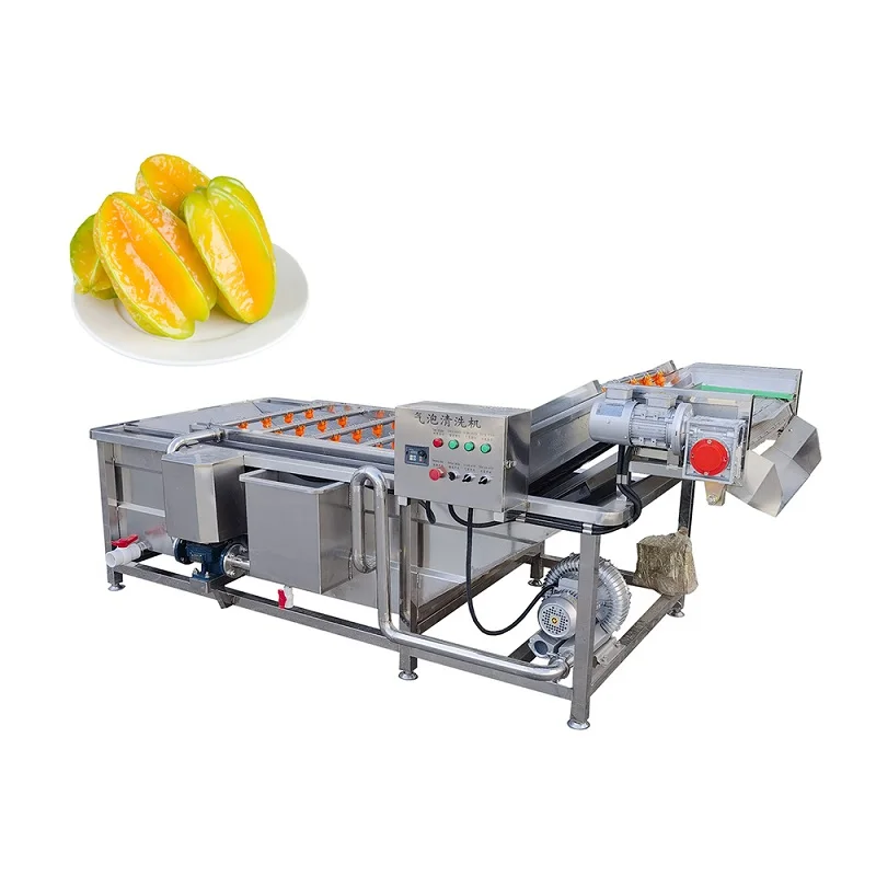 Fruits and Vegetables Washing Peeling Machine for Potato Carrot Lotus Stem Beetroot Ginger White Radish