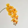สีเหลือง