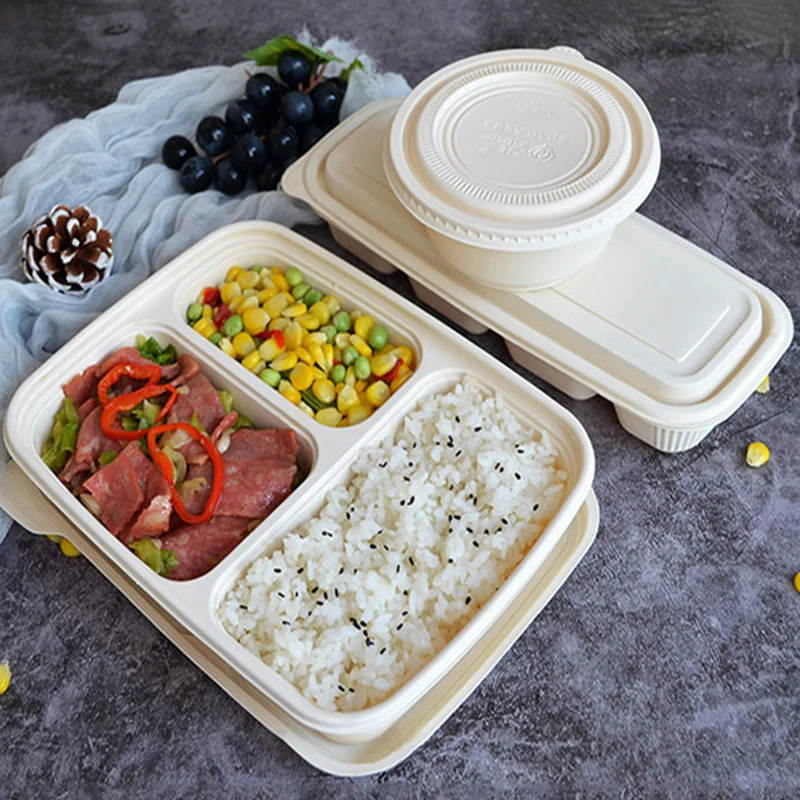 Disposable Meal Prep Bagasse Containers Fast Food Takeaway