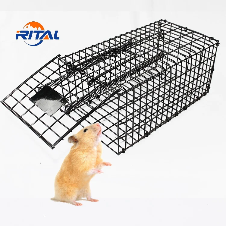 Masso 231595 Rats And Mice Trap Cage Golden
