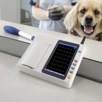 Hospital Instrument ECG601  Portable 12 Channel 3 6 12 Lead Electrocardiograma Ecg Machine for Vet