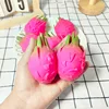 Small-sized dragon fruit