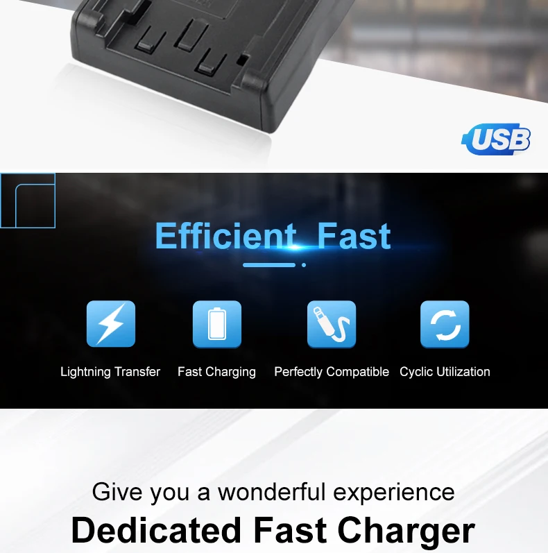 Portable Travel Charger NP-FV50 FV70 FV100 FH50 FH70 FP50 Lithium Battery USB Charger For Sony Digital Camera manufacture