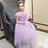 BX1700 1 viola