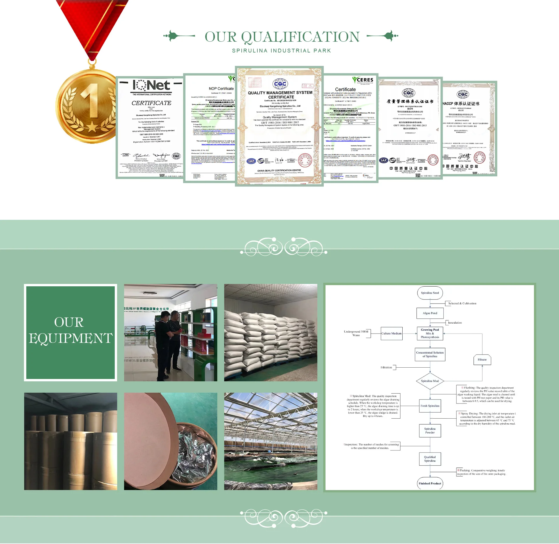 Spirulina Seaweed Plant Extract Powder For Pharmaceutical/Food/Cosmetic