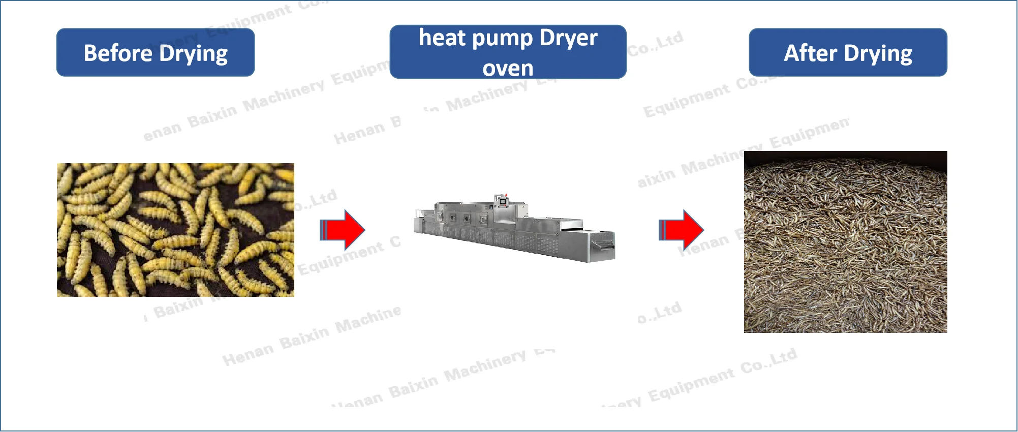 Industrial microwave dryer machine for food processing fruit and vegetable drying machine