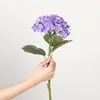 ไฮเดรนเยียขนาดใหญ่-สีม่วงอ่อน-45 ซม.-23 ซม