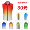 Gradient Vest