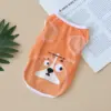 Orange puppy