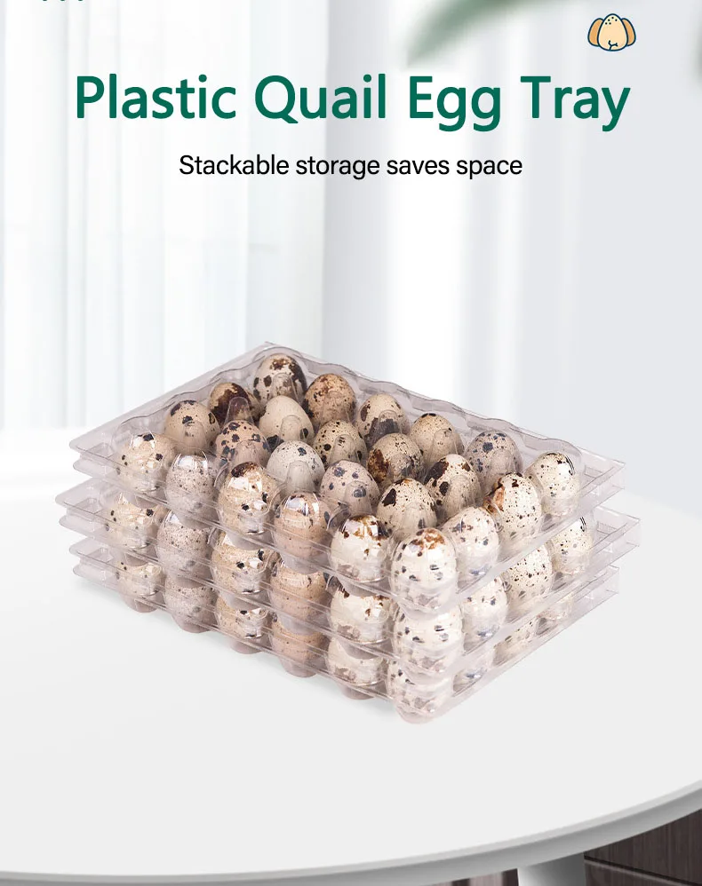 Quail Eggs Packaging Boxes Tray 10 12 15 18 24 30 Holes Plastic Quail