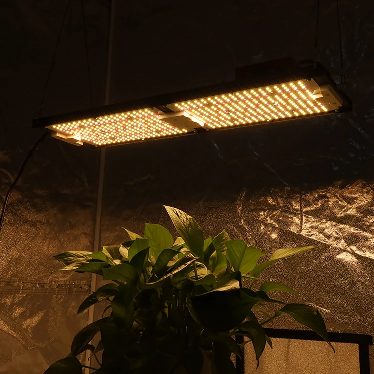Full Spectrum Samsung Lm301h EVO 240W LED Grow Light for