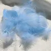 colorful Light Sky Blue