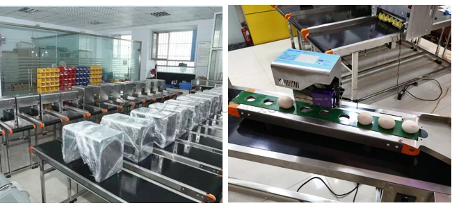 Automatic carton coding machine eggs number inkjet printer/egg printer machine