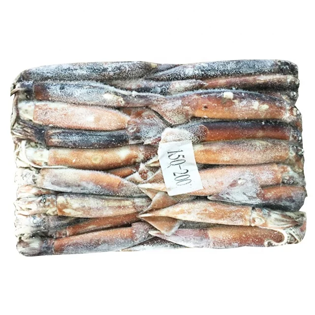 California Frozen Squid For Fishing Bait Buy Frozen Squid Fishing