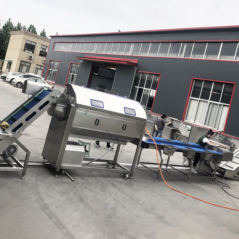 French Fries Machine supplier