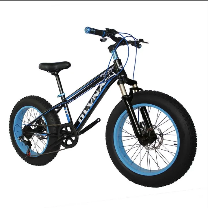 Fat Wheel Bike Bicycle 
