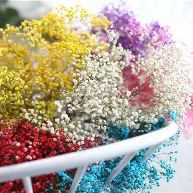 Preserved Gypsophila Bouquet - Baby's Breath Flowers