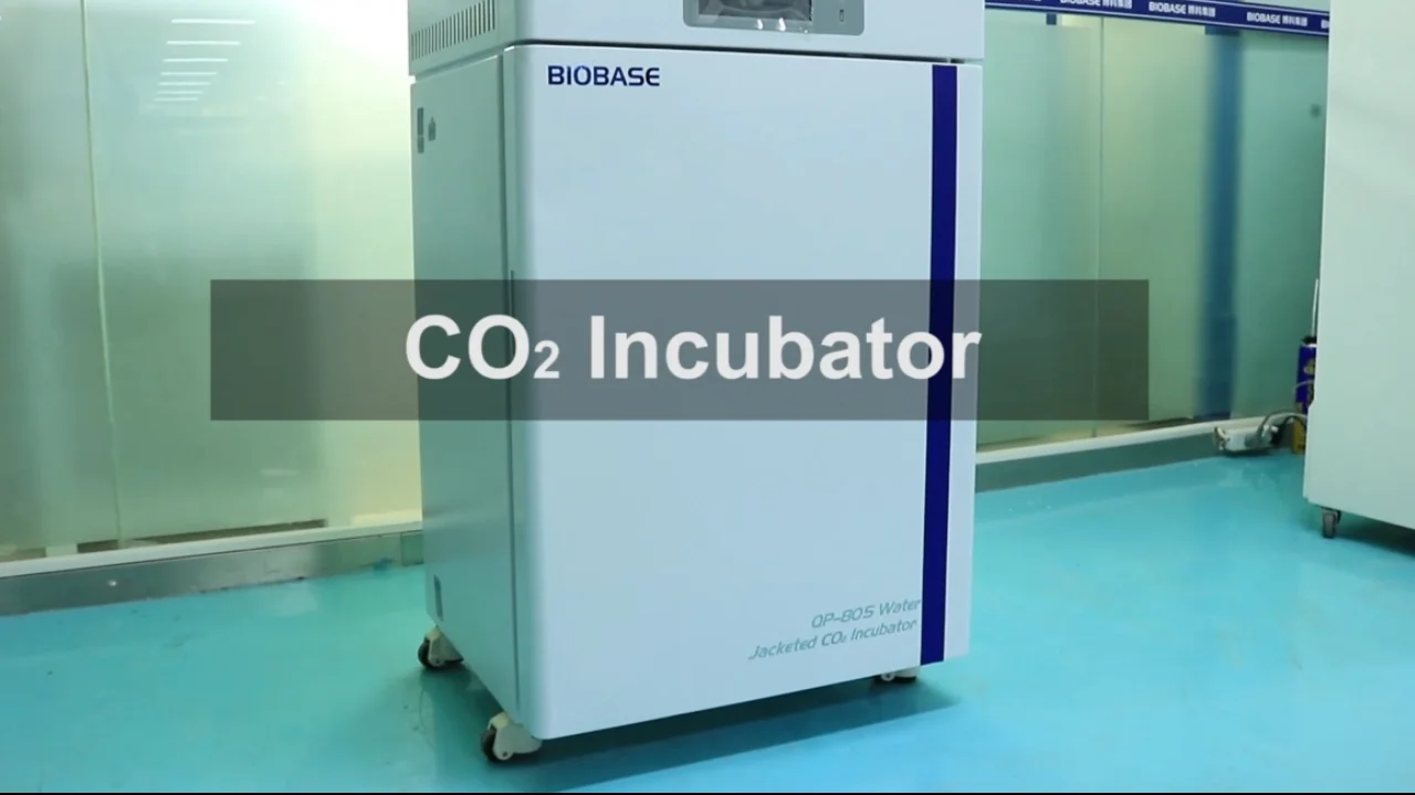 Biobase Co2 Incubator Equipped With Hepa Filter Co2 Incubator For ...