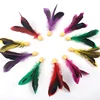 Random Color - pvc head