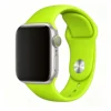 classic style green