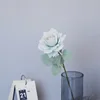 สี หมายเลข5