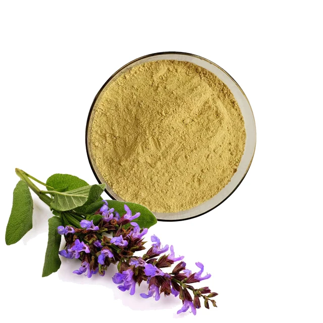 Manufacturer Supply Sage Extract / Salvia Officinalis Powder/101high