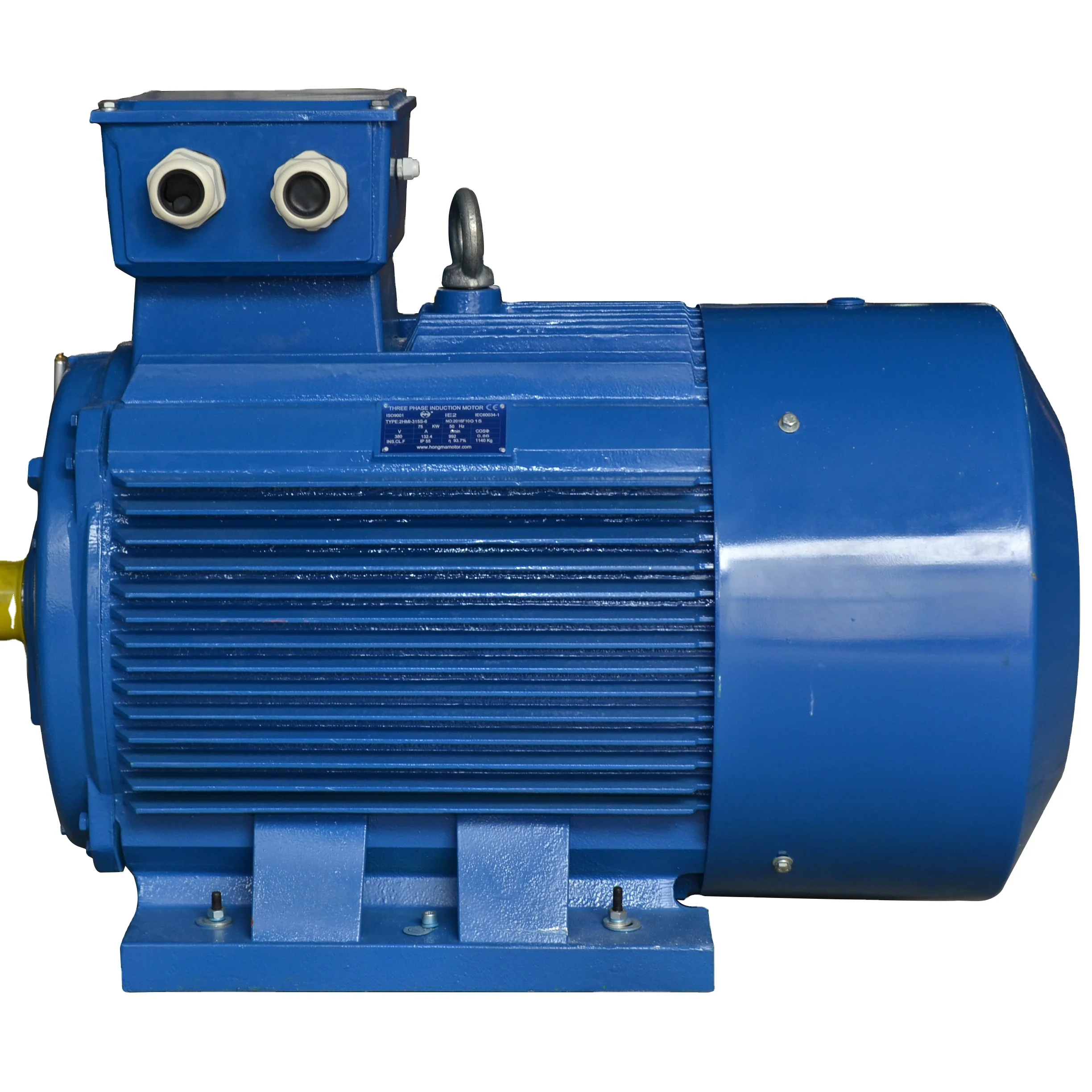 3 induction motor