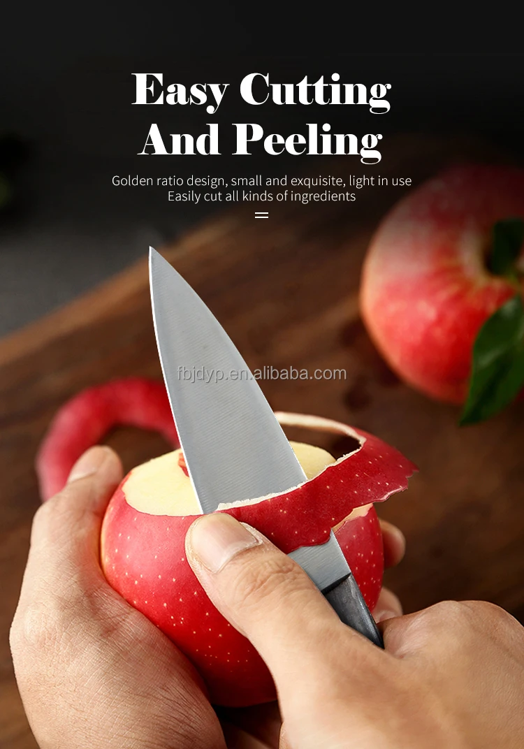 3.5 Inch Kitchen Knife Fruit Cutting Knife Stainless Steel Cutting