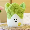 Cabbage