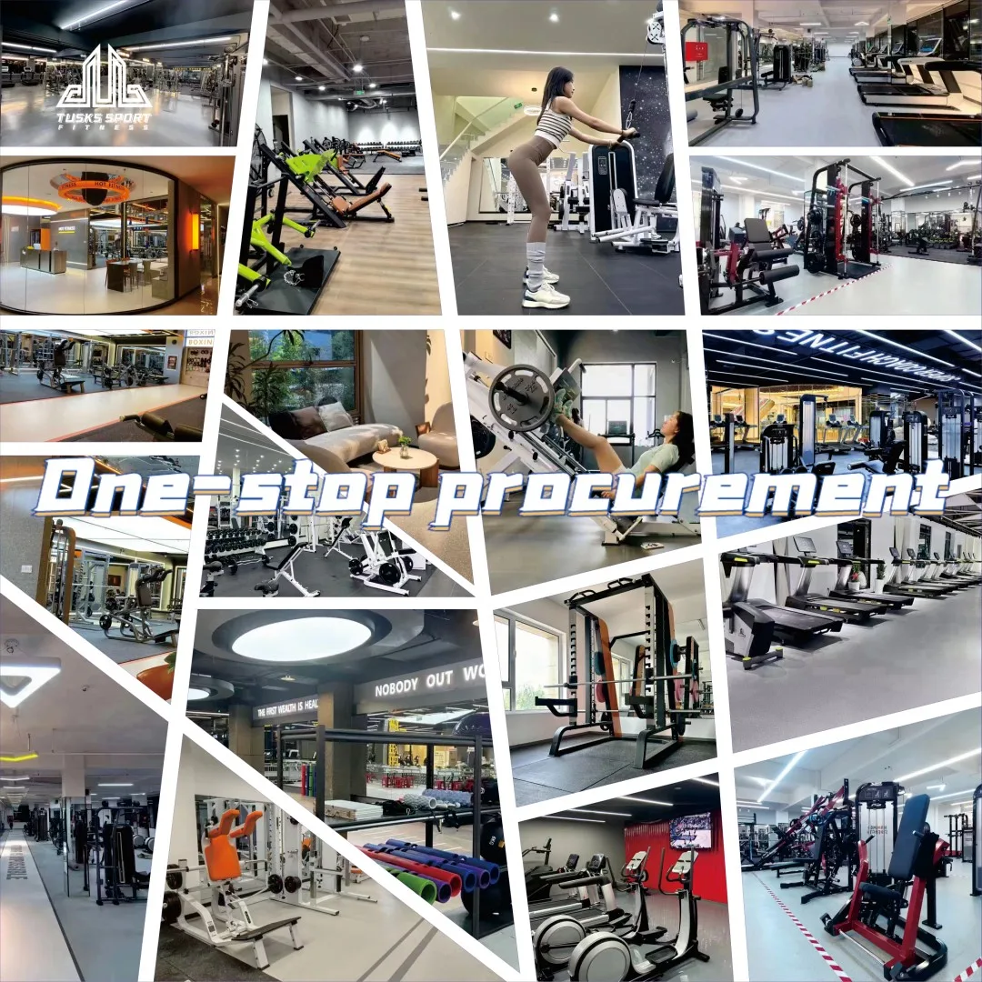 Multi Functional Fitness Gym Equipment Sports Chest Press Bench Price,chest Press Nautilus,adjustable Chest Press Machine