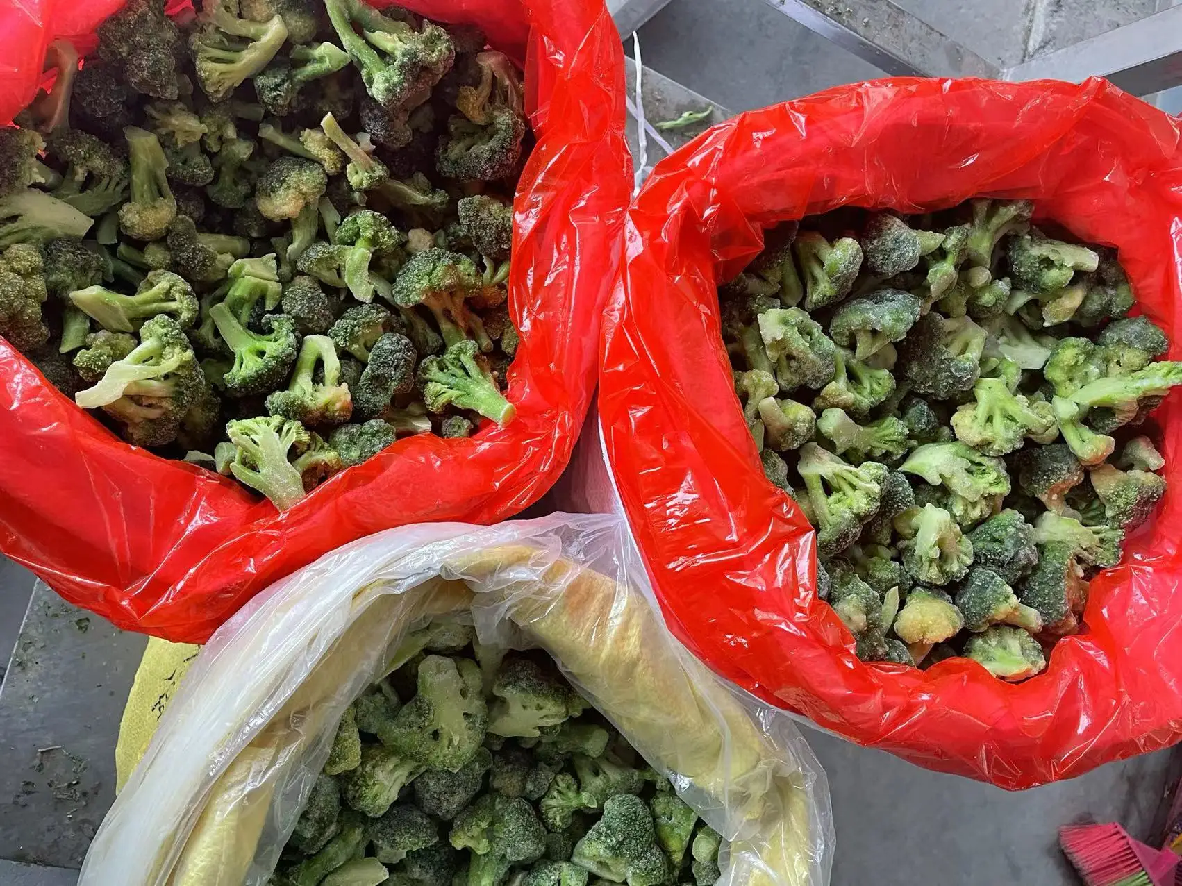 Donmuş Brokoli IQF Brokoli