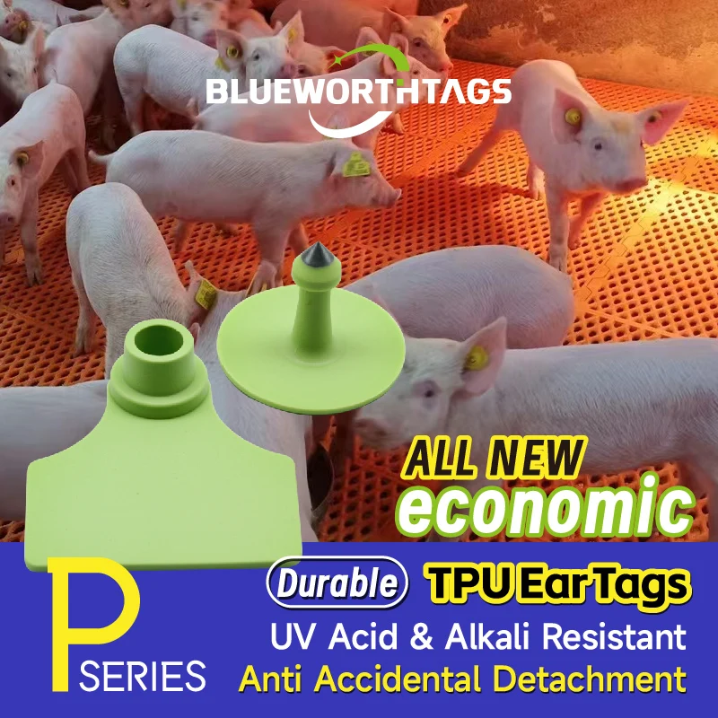 NEW P1#+P4#  Breeding Pig Ear Tag Swine Tags TPU Made 10 Colors