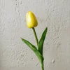 Giallo