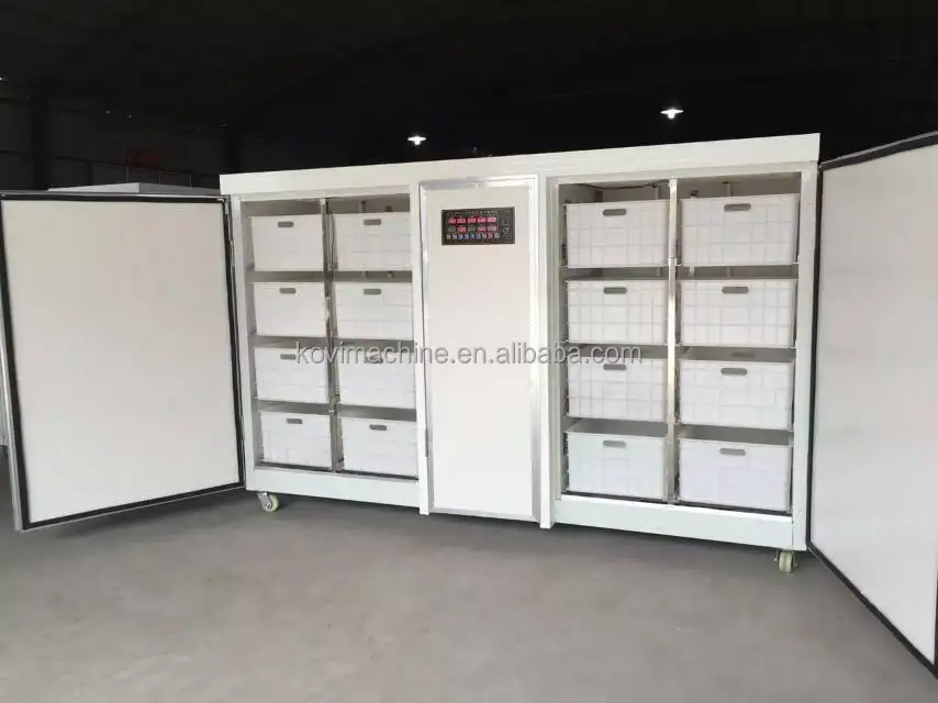 Hydroponic Soy Bean Sprout Growing System Equipment Soybean Mung Bean Sprouter Machine