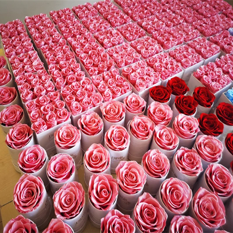 Valentine Gift Hot Sale Everlasting Rose Natural Eternal Immortal Decorative Flower Stabilized Forever Preserved Roses in Box factory