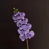 Phalaenopsis 3D viola scuro