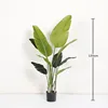 Verde compatto 120 cm