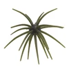 Dark Green black flash