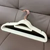 Transparent golden hook-shaped light beige color