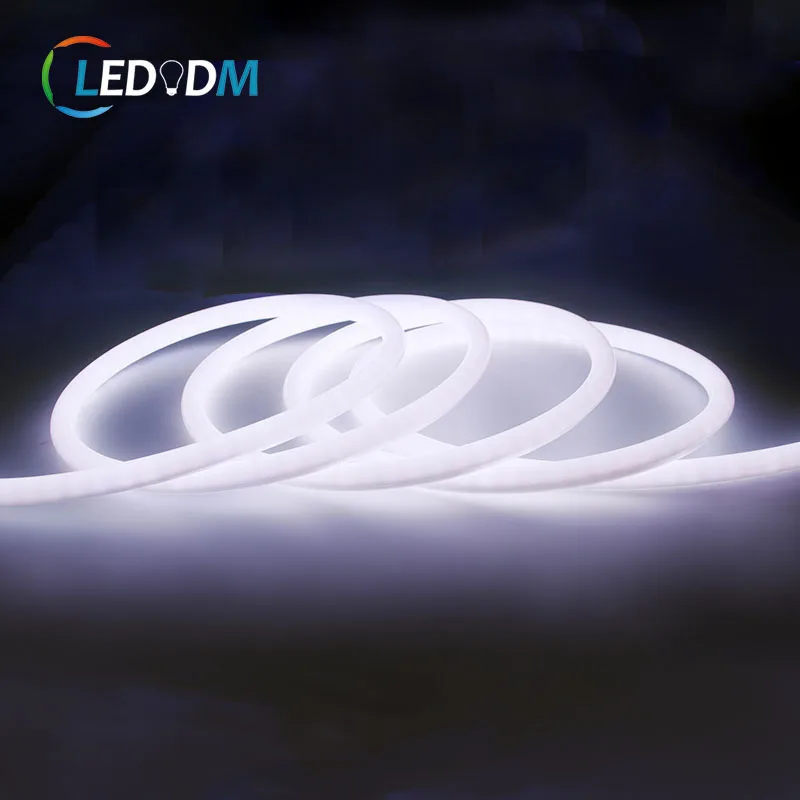 DC12v 24v Ws2811 Addressable Pixel Colorful RGB Neon Round 260 Angle Beam Strip Light 5m 10m Neon Led Flexible Strips Lights