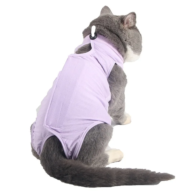 female cat clothes