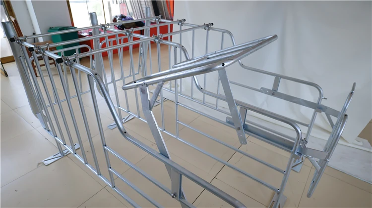P1019715.jpg