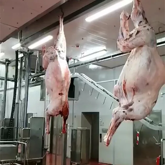 Halal Camel Slaughterhouse With Meat Process Slaughter Machine