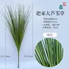 Bundle of large green reeds