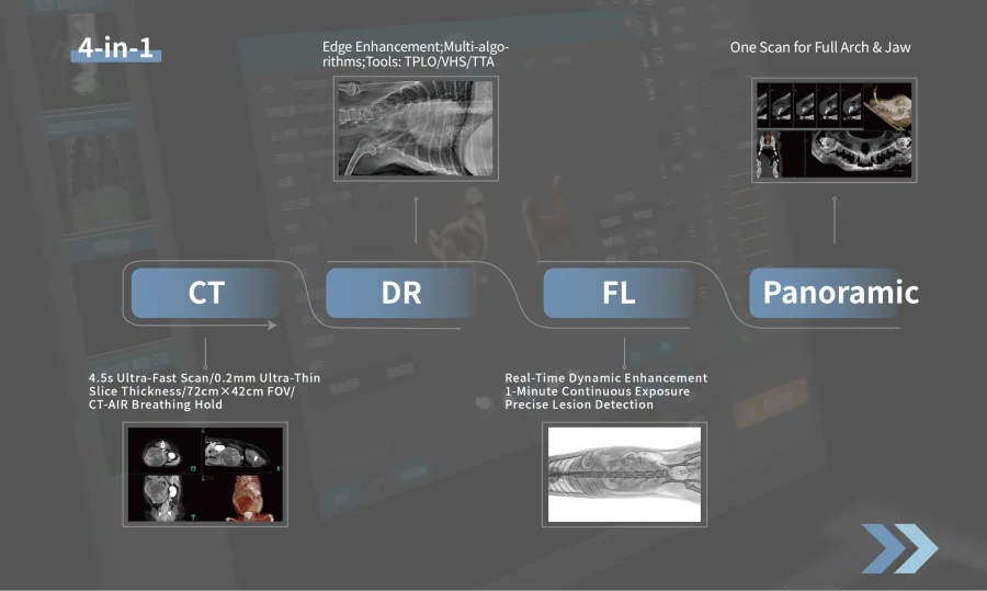 product-1-1 Veterinary Cone Beam Computed Tomography System CT/DR/FL/Panoramic 4 in 1 Veterinary Radiation Diagnostic Equipment