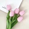 Rose4