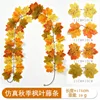 Maple vine - F (1.75 meters) 22 heads