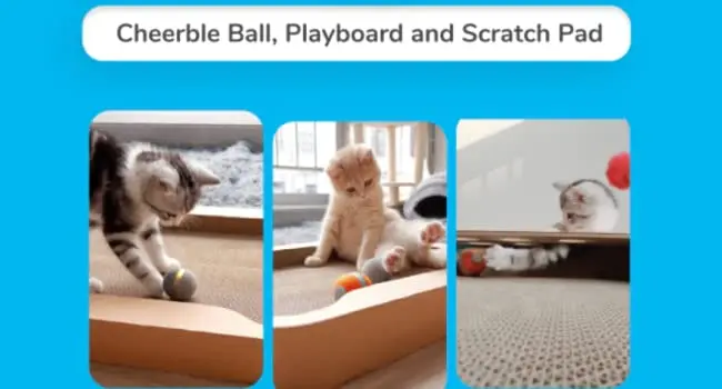 Cheerble Cat Ball, Board Game 