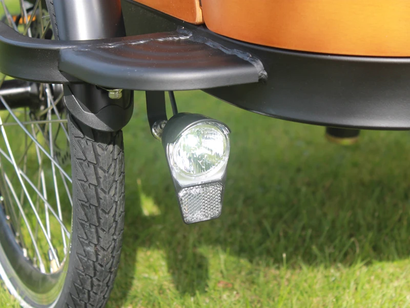 Pedalata Assistita Motore Elettrico Ruota Posteriore Bici